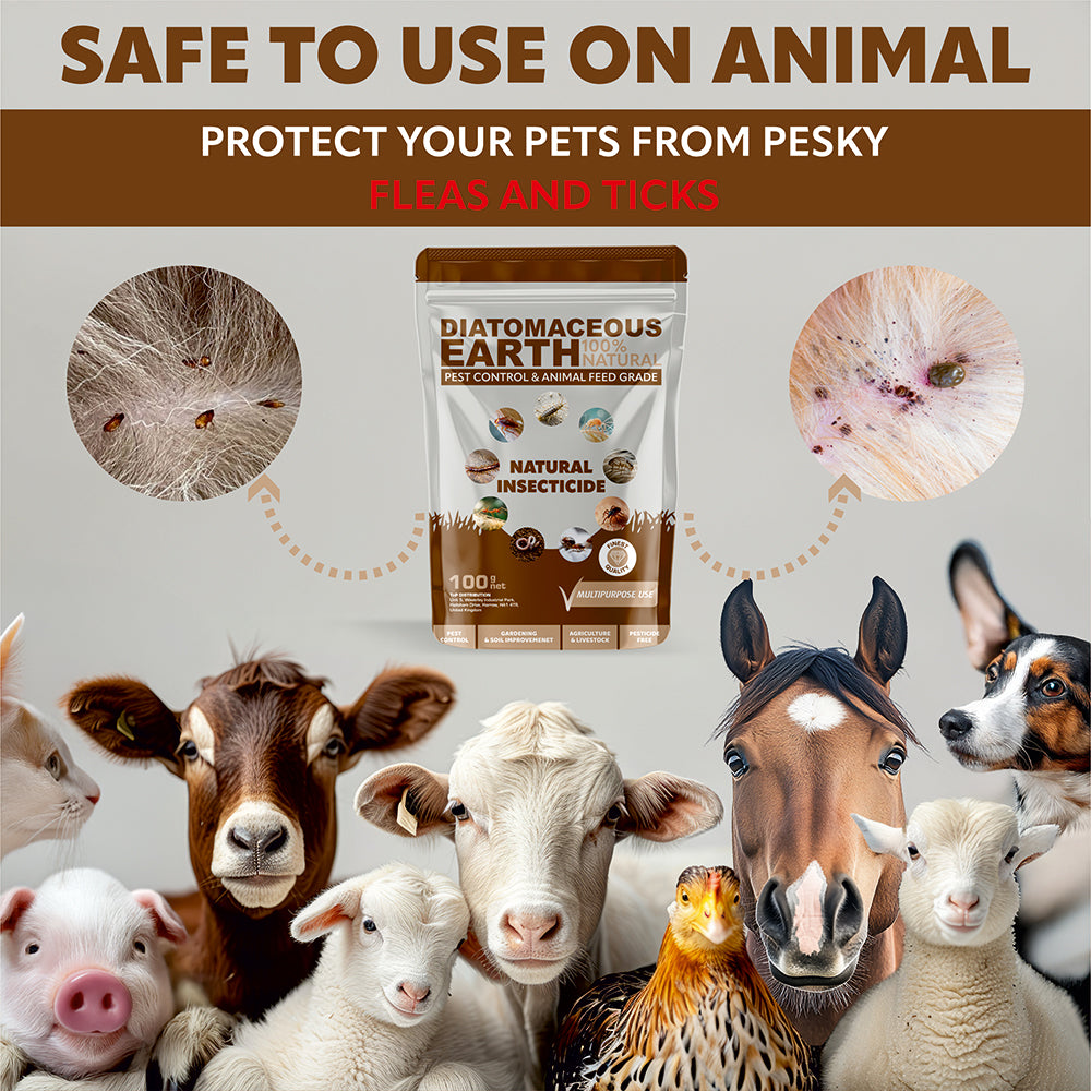 Diatomaceous Earth Animal Feed 25kg