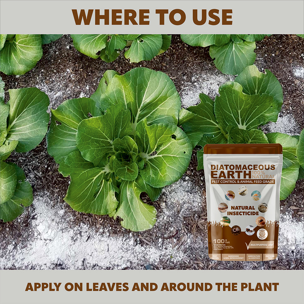 Diatomaceous Earth - Animal Feed Grade