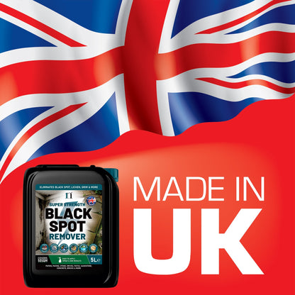 Super Strength Black Spot Remover 5L – Patio, Path & Paving Cleaner