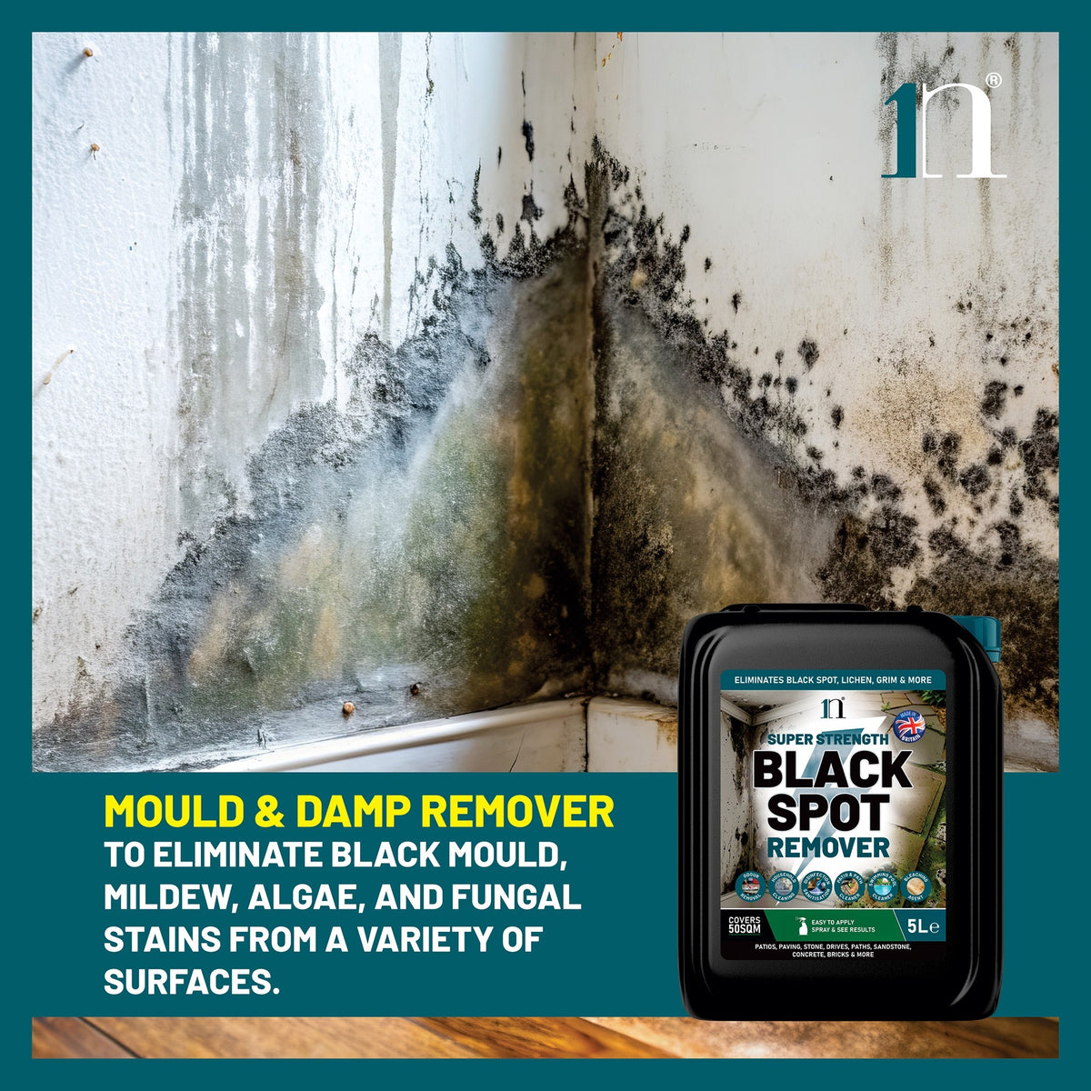 Super Strength Black Spot Remover 5L – Patio, Path & Paving Cleaner
