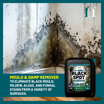 Super Strength Black Spot Remover 5L – Patio, Path & Paving Cleaner
