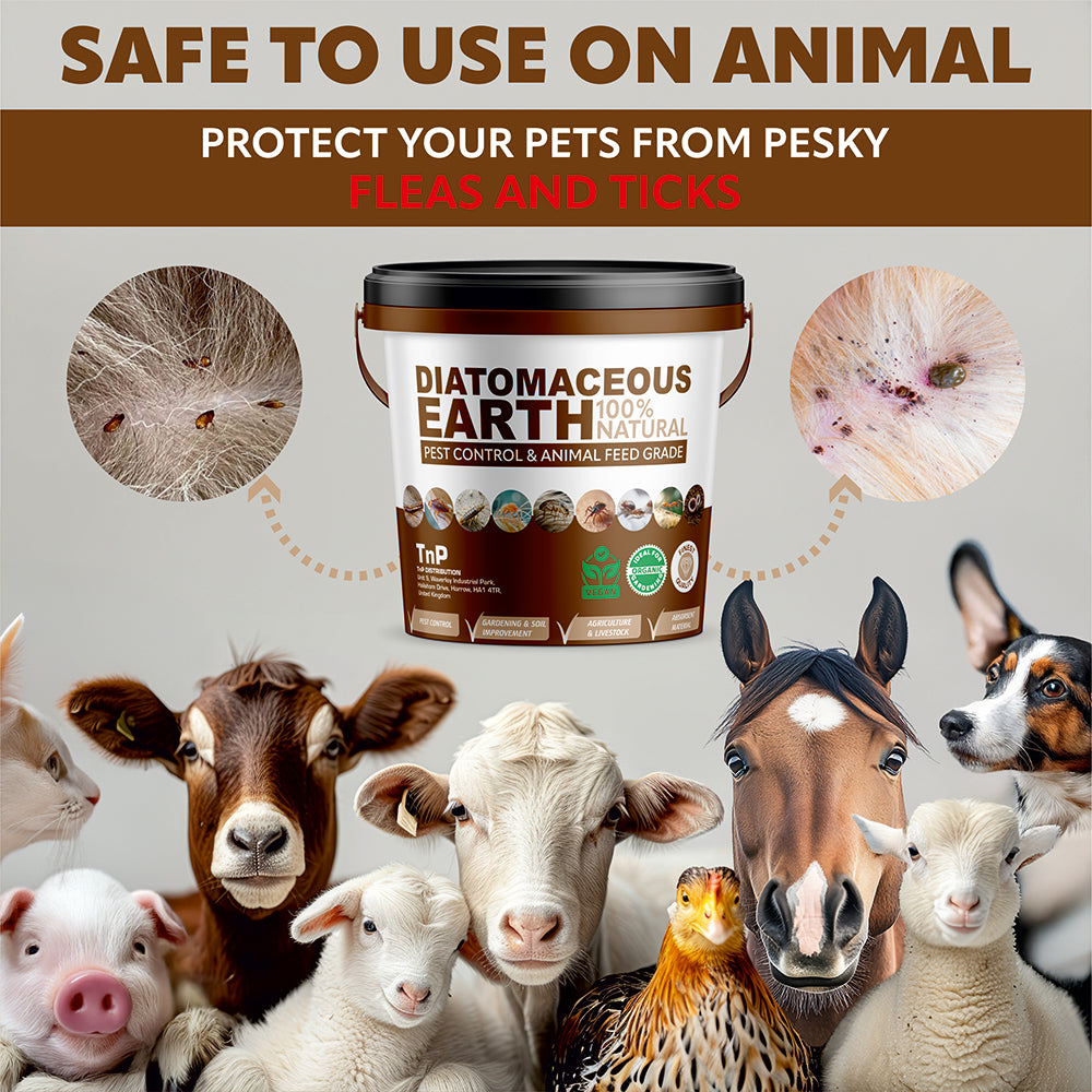 Diatomaceous Earth - Animal Feed Grade	